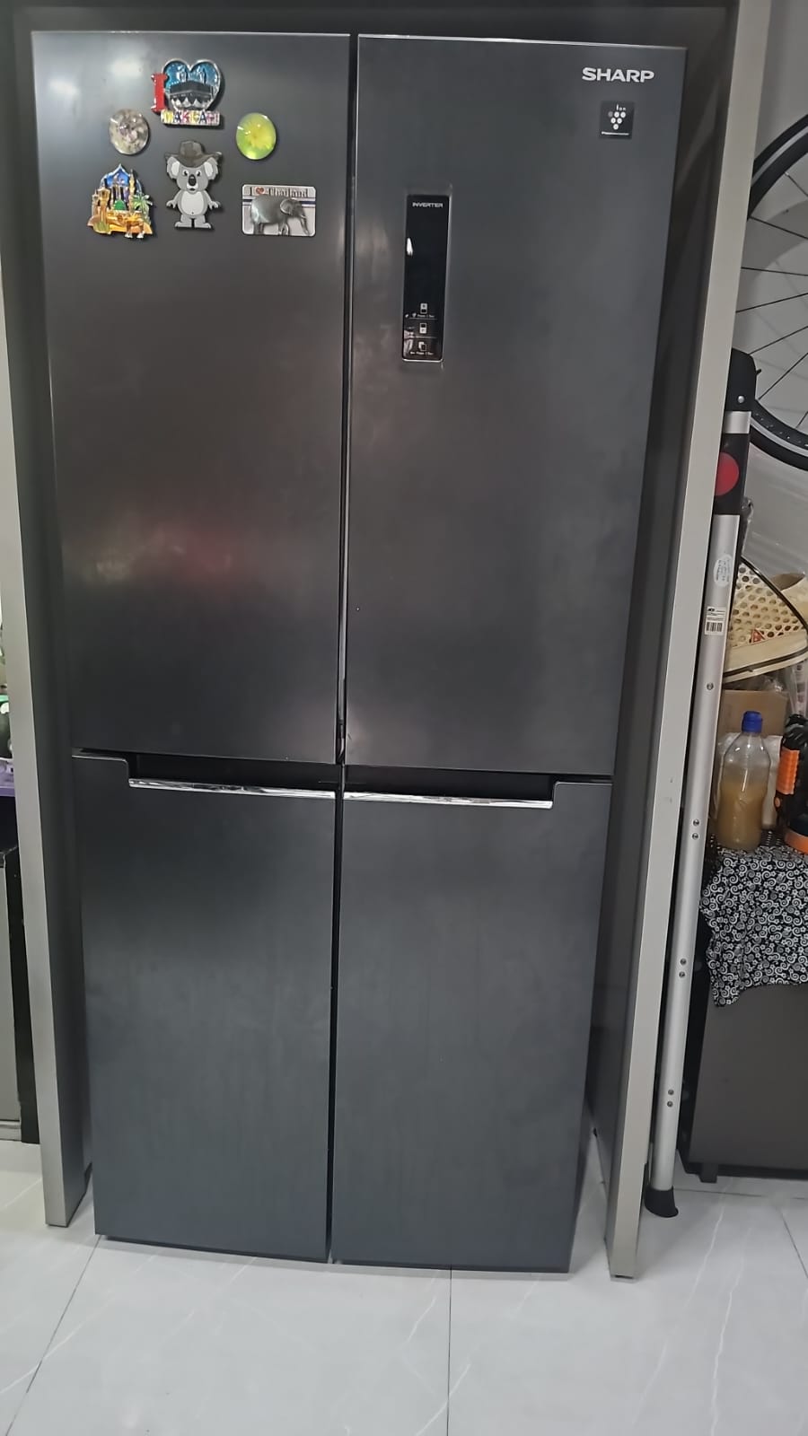 WhatsApp Image 2026-02-04 at 21.58.49 (1)